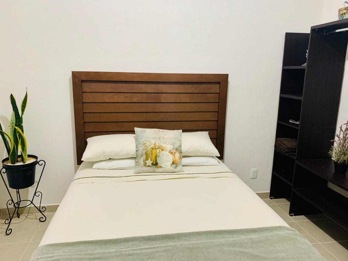 Franks House Luxury Apartment "Shared House" Cancún Eksteriør billede