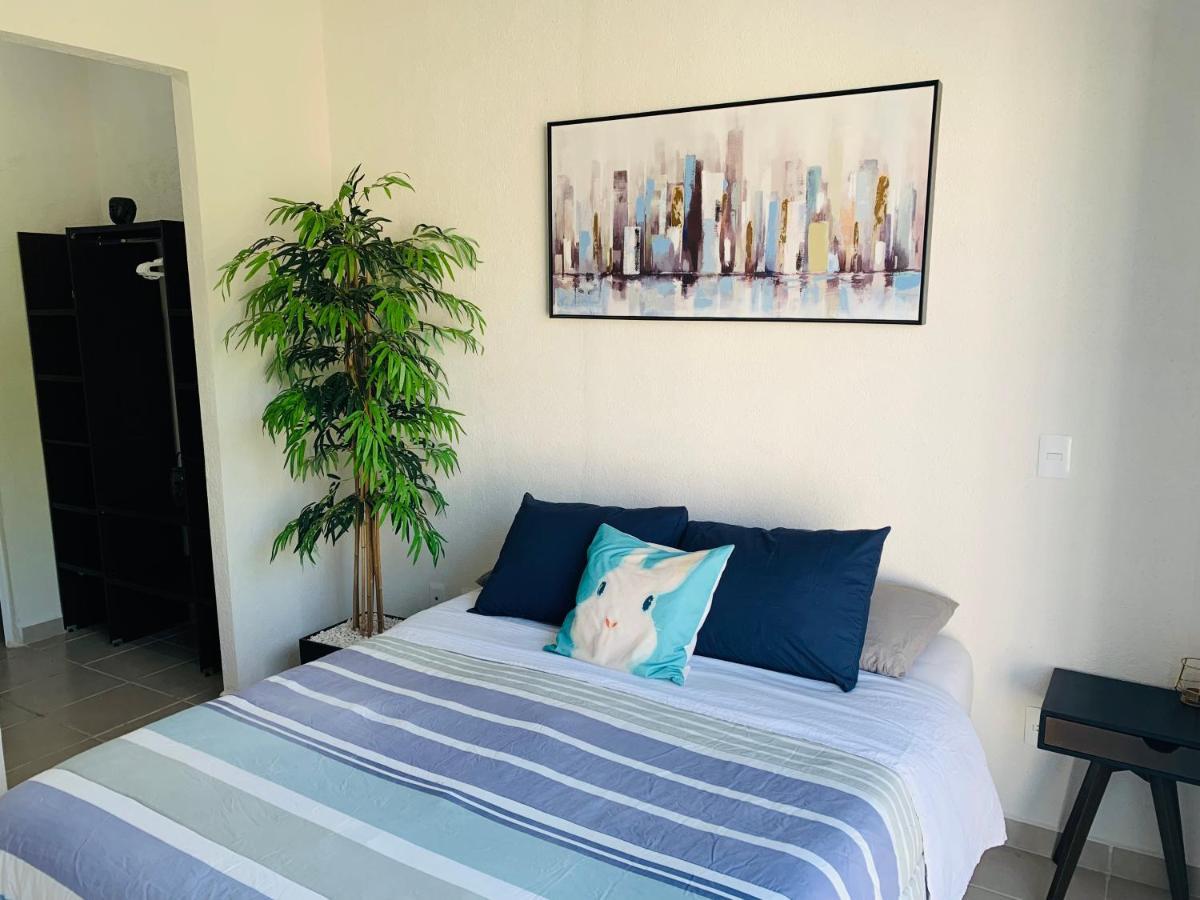 Franks House Luxury Apartment "Shared House" Cancún Eksteriør billede